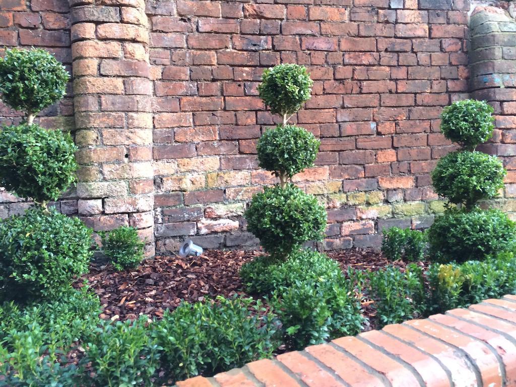 The Rest Hotell Lincoln Rom bilde